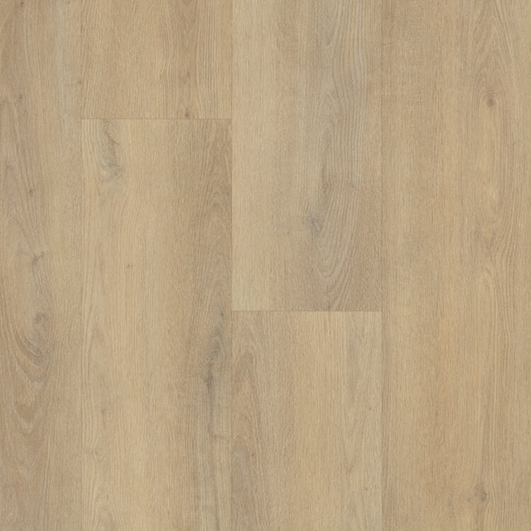 Belakos Palazzo Rigid Click 750