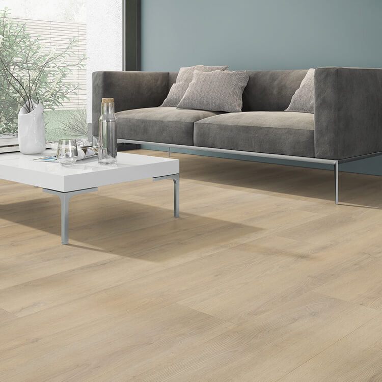 Belakos Palazzo Rigid Click 720