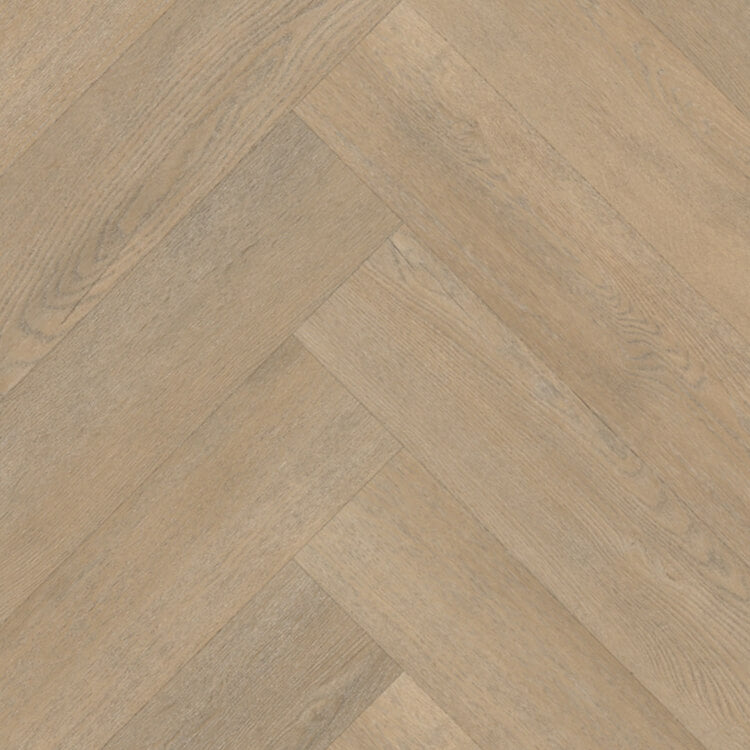 Belakos Palazzo Visgraat XL 71