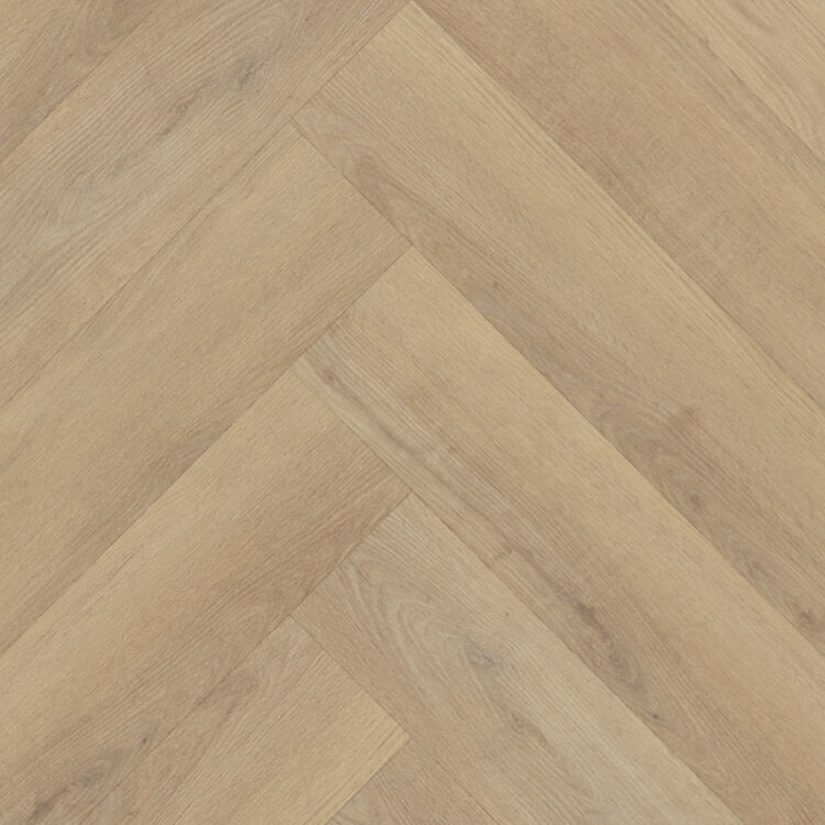 Belakos Palazzo Visgraat XL 72