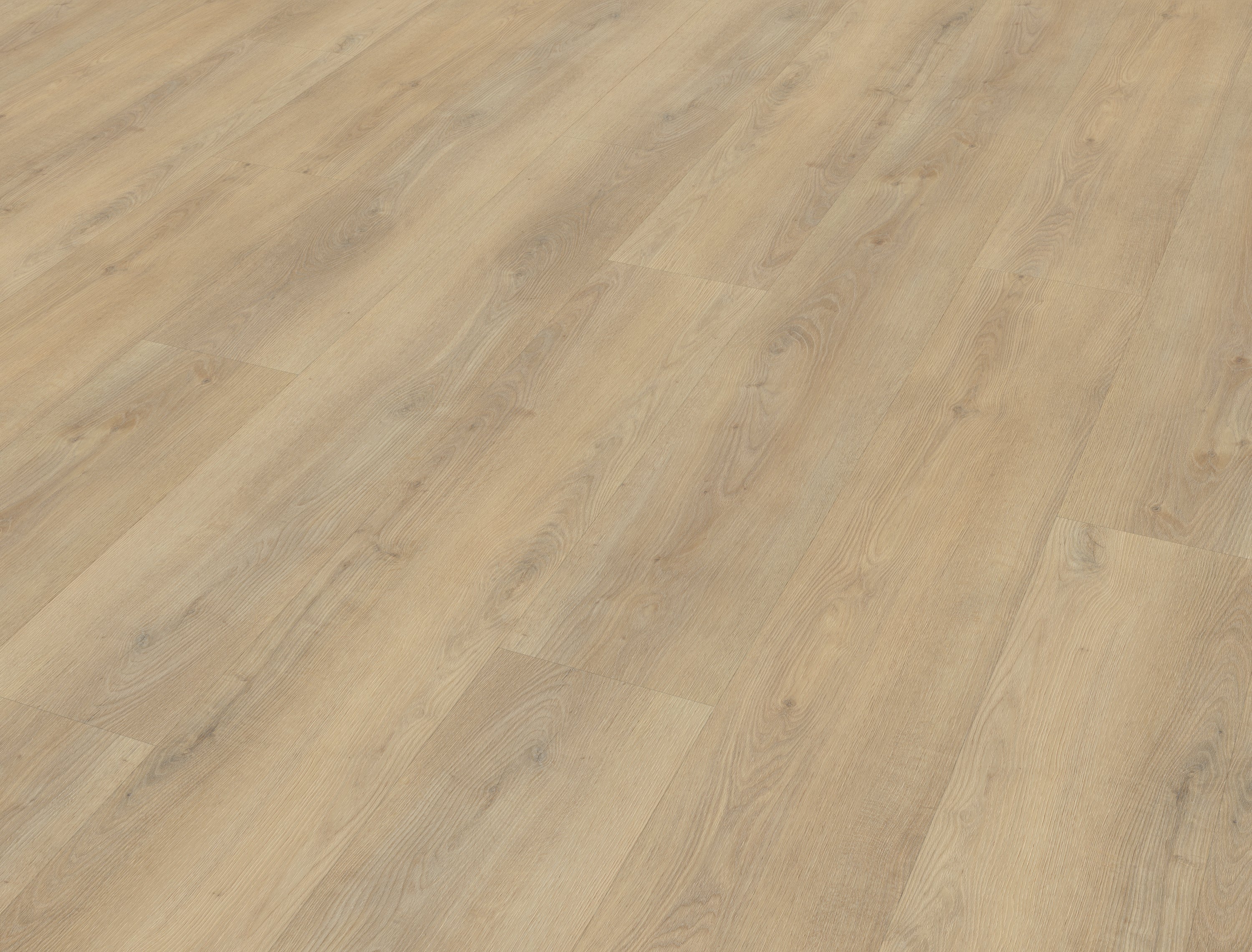Belakos Palazzo Rigid Click 720