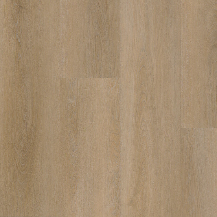 Belakos Attico Rigid Click 810